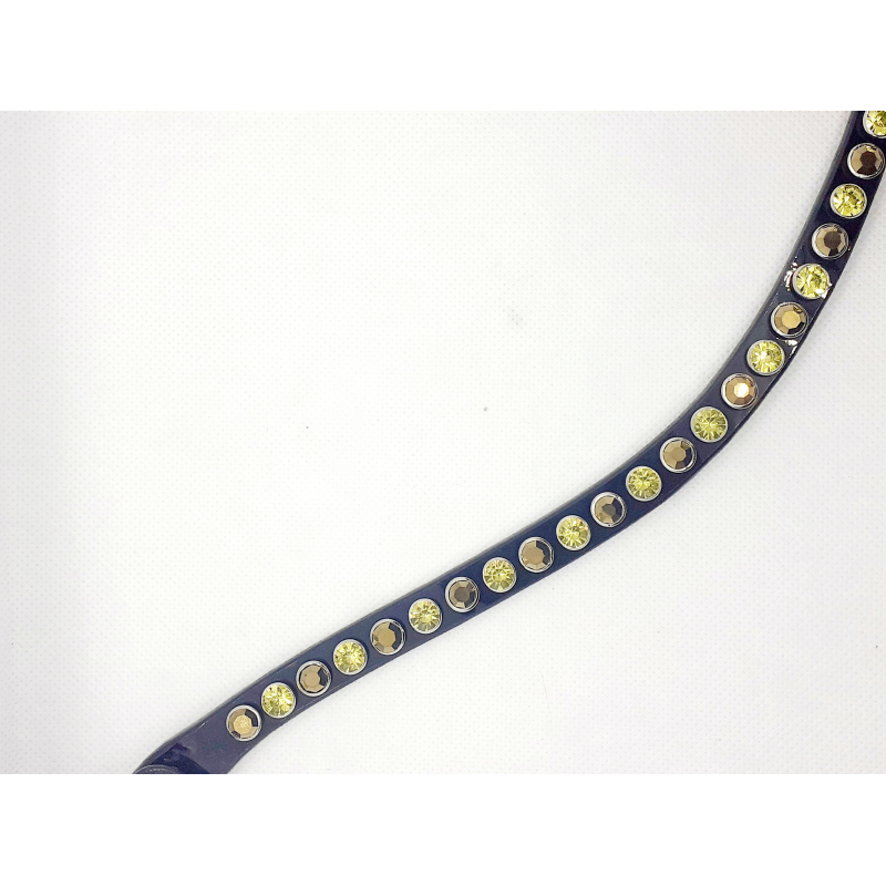 Frontriem goud / teal